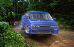 RALLBANNER-03.gif