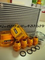 Moster Oil KiT_14.jpg